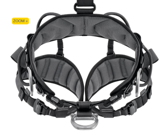 AVAO ? FAST Versão Internacional