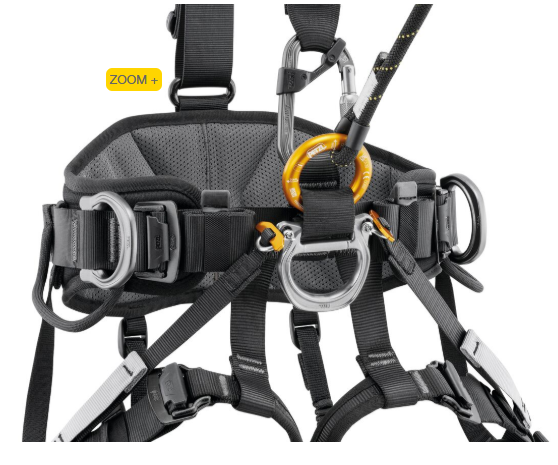 AVAO ? FAST Versão Internacional