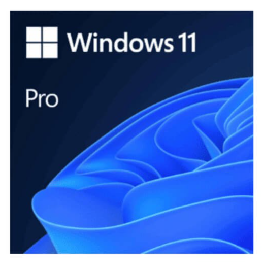 DVD do Windows 11 Pro ? 1 usurio