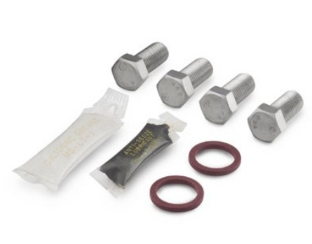 Kit de Vedao para Flange em Fluorcarbono FKM e Kit de Parafusos em Ao Inoxidvel para M