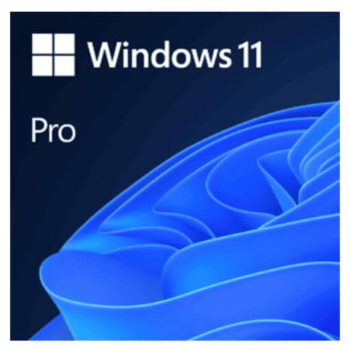 Windows 11 Pro ESD ? 1 usurio (download)